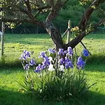 Les Coquelicots 3* 지베르니