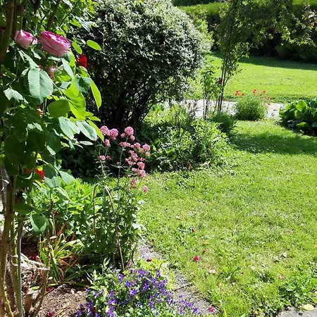 Maison D'hotes Les Coquelicots 3* ז'יברני
