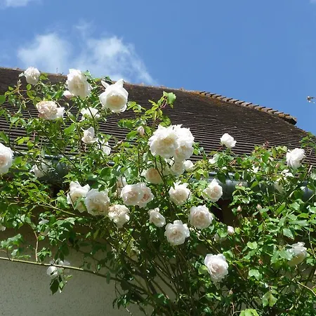 Maison D'hotes Les Coquelicots ז'יברני