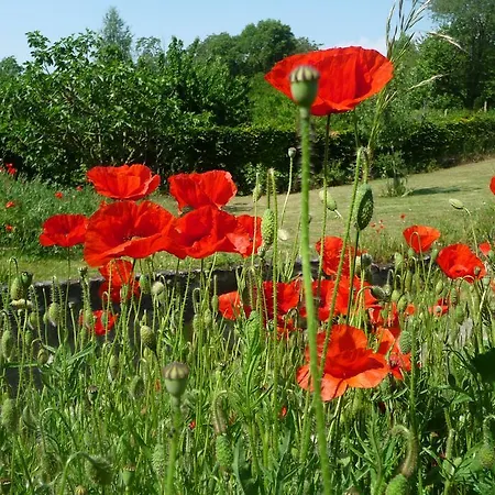 Maison D'hotes Les Coquelicots לינה וארוחת בוקר