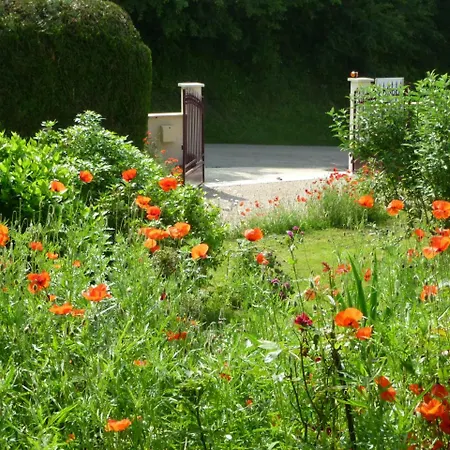 Maison D'hotes Les Coquelicots 3* ז'יברני